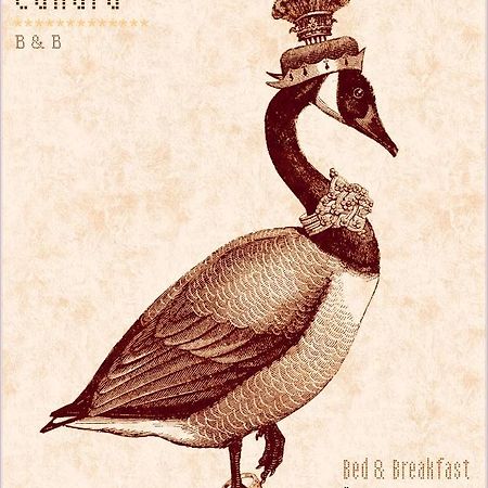 Madame Canard 바메노 외부 사진
